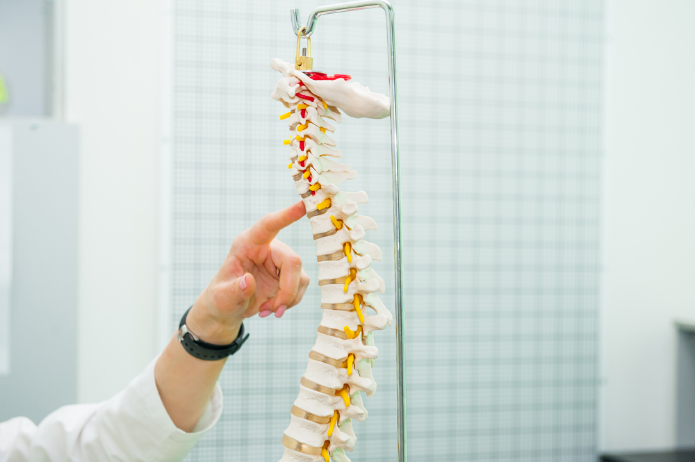 Chiropractic Care for Spinal Osteoarthritis in NYC